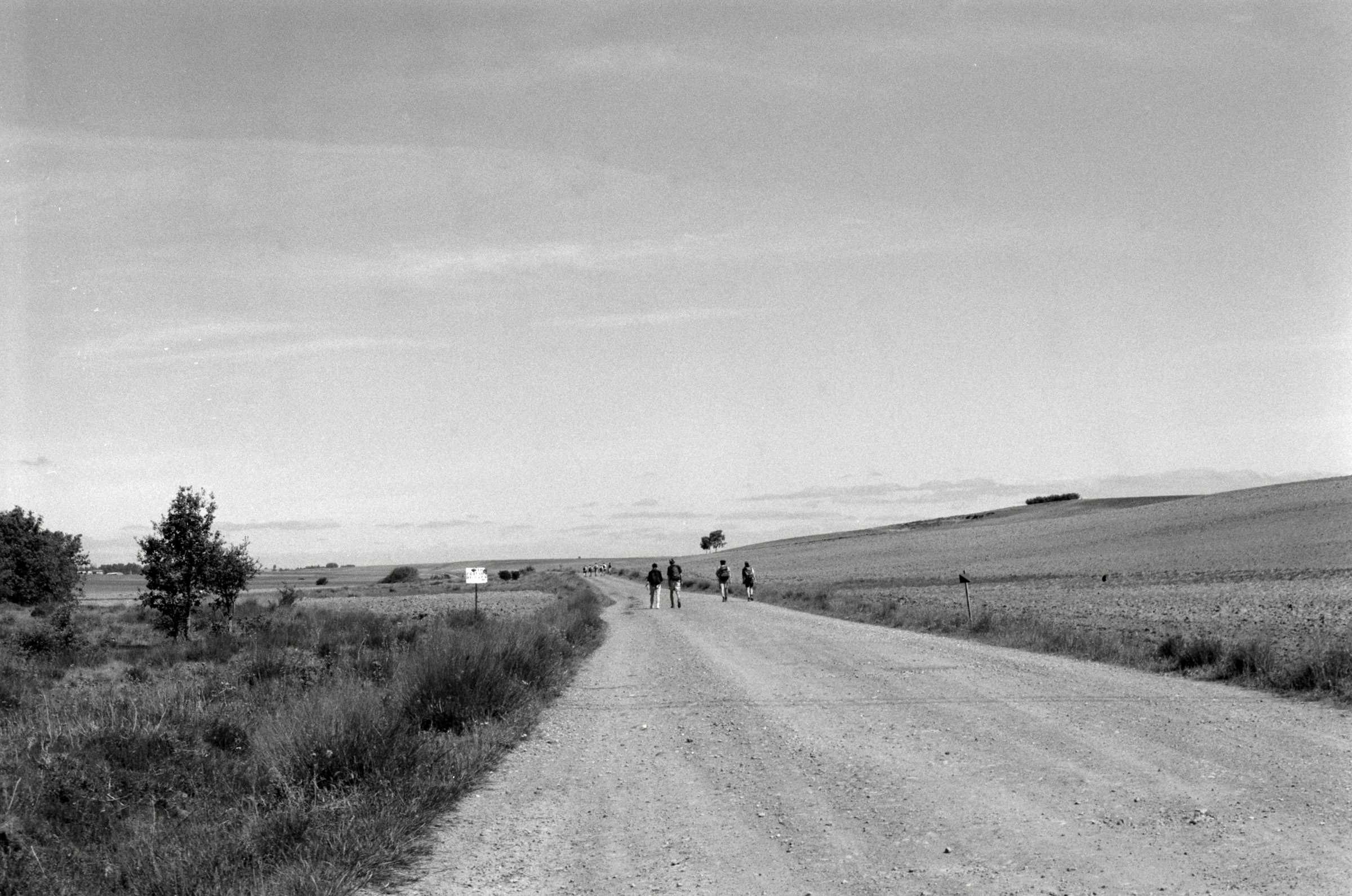 AHP F1995 05 009 sc240826 img09 NLP